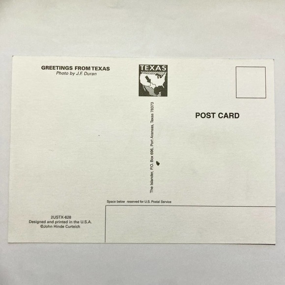 Sand Dollar 4 1/8" x 5 7/8" Postcard - Picture 2 of 2